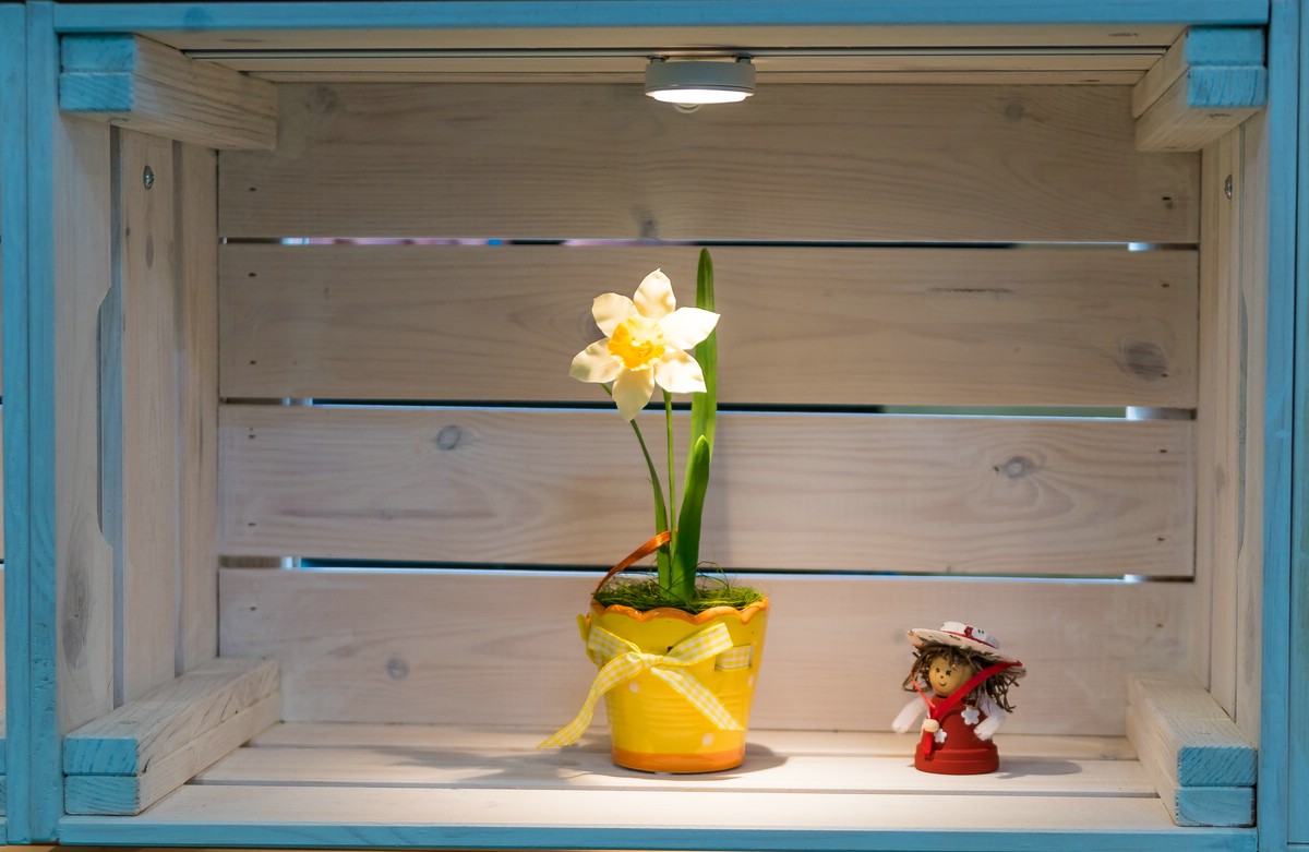 2019.04.06 Blhendes sterreich in Wels